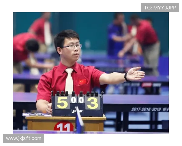 武汉乒乓球队员个人能力分析及表现评估研究报告